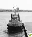 37m / 47ts BP Tug for Sale / #1068814