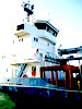 mv Olga/coaster