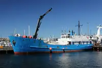 119' General Cargo Single Decker Fish Carrier Mini Freighter